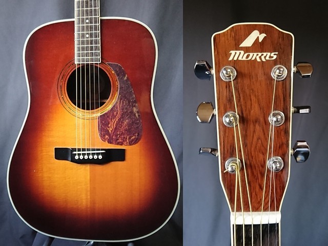 M-601 Morris - ギター大図鑑 PoloPPo