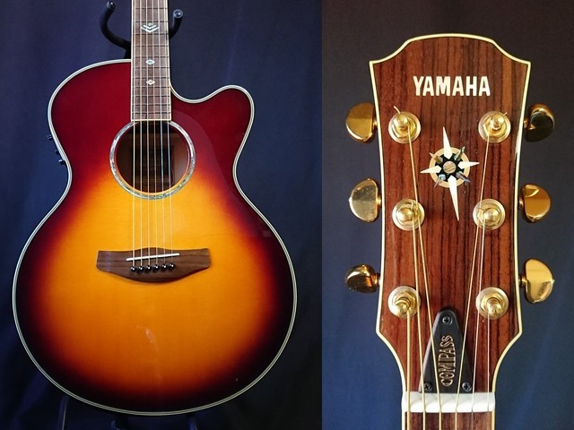 CPX-900 Yamaha - PoloPPo Guitar Visual Dictionary